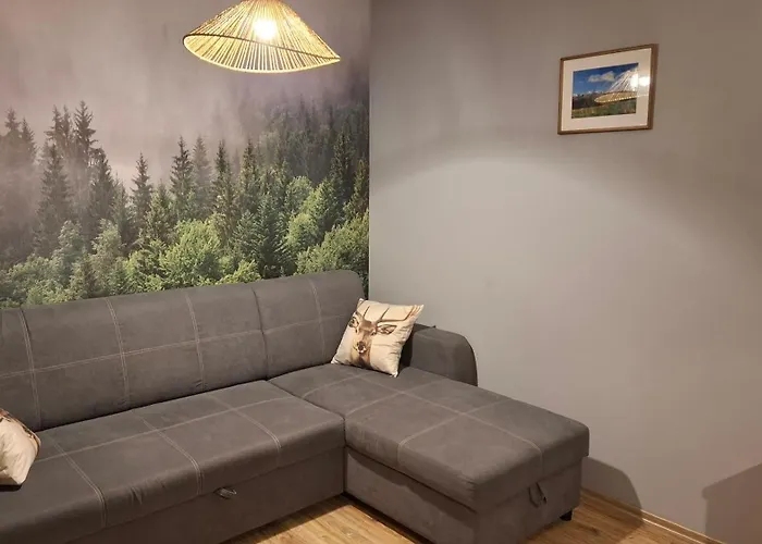 Apartament Zakopane Kamieniec 10i